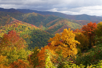 fall colors in the great smoky mountains