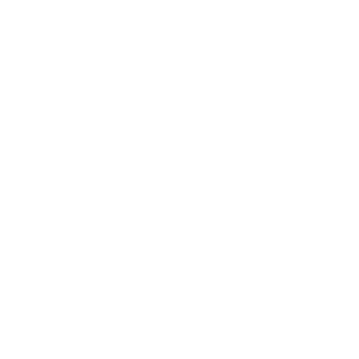 x icon