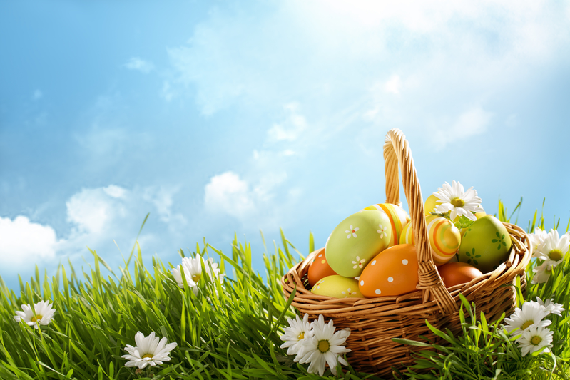 Basket,Of,Easter,Eggs,On,Green,Grass,At,Sunny,Day.