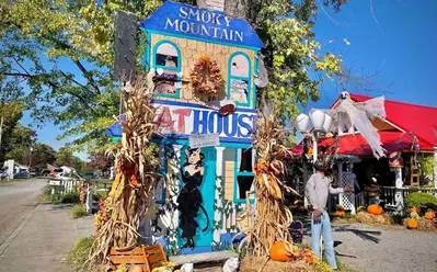 Smoky Mountain Cat House