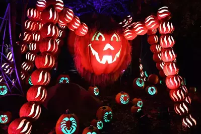 giant spider pumpkin structure at Great Pumpkin LumiNights