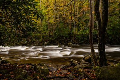 west prong of the little pigeon river