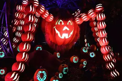 dollywood luminights pumpkin