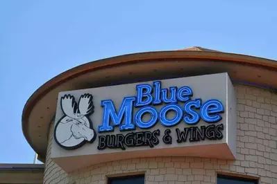 Blue Moose Burgers & Wings 