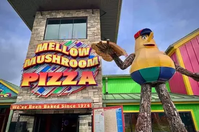 Mellow Mushroom in Pigeon Forge