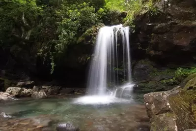 grotto falls in the Smoky Mountains