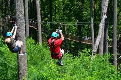 zipline