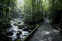 roaring fork motor trail