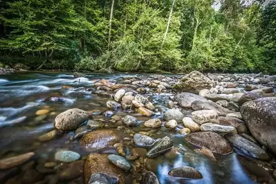 metcalf bottoms in the smoky mountains