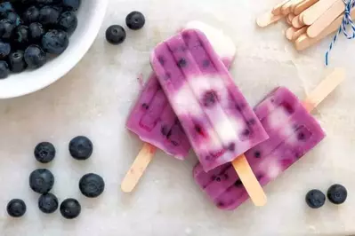 blueberry popsicles