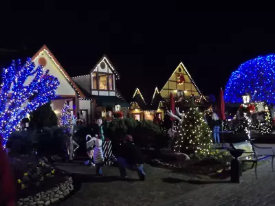 lights at night at the christmas place