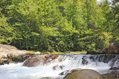 Scenic photo of the Little Pigeon River rushing by.