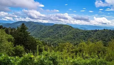 An incredible photo of spring in the Smoky Mountains.