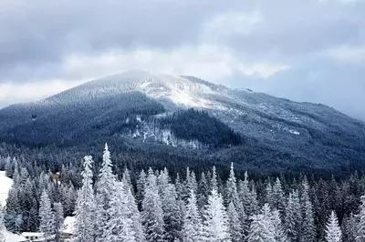 The mountains covered in snow near the top Pigeon Forge winter attractions.