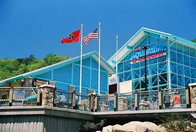 s Aquarium of the Smoky Mountains