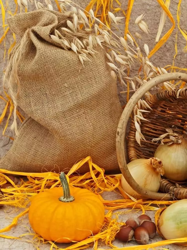 Pumpkin fall decor