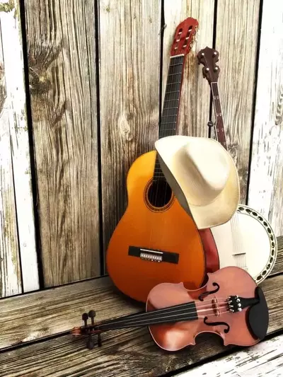 Bluegrass instruments sitting on a wooden wall