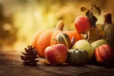 Fall harvest picture with pumpkins