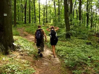 Hiking in the Great Smoky Mountains.