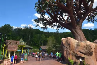 Guests in Wildwood Grove at Dollywood