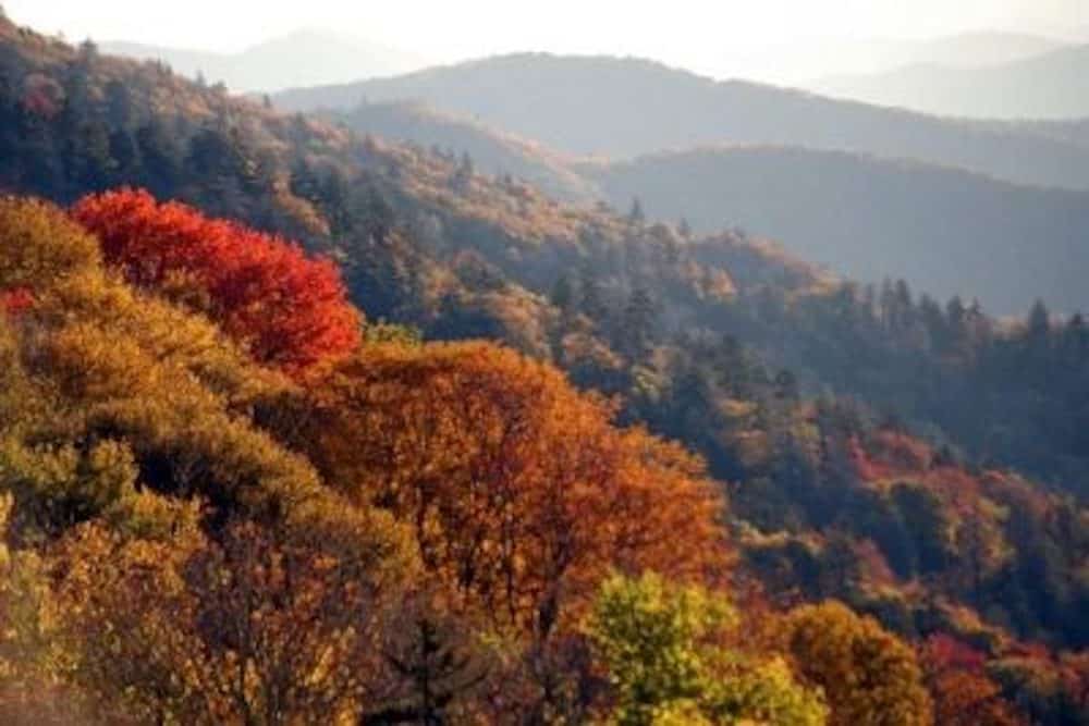 Everything You Need to Know About the Smoky Mountain Harvest Festival